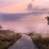 Mist, fog, insomnia, mgła, bezsenność, noc, night, landscape, krajobraz