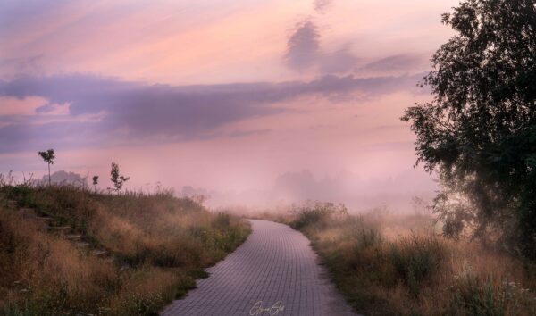 Mist, fog, insomnia, mgła, bezsenność, noc, night, landscape, krajobraz