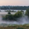 Mist, fog, insomnia, mgła, bezsenność, noc, night, landscape, krajobraz