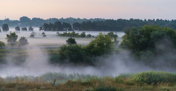 Mist, fog, insomnia, mgła, bezsenność, noc, night, landscape, krajobraz