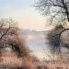 Mist, fog, insomnia, mgła, bezsenność, świt, wschód słońca, sunrise,, dawn, landscape, krajobraz