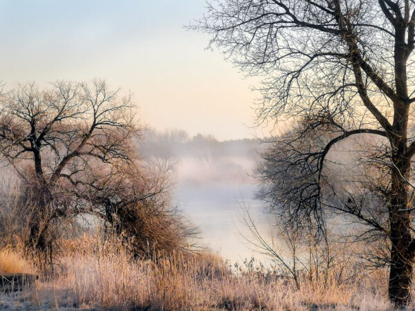 Mist, fog, insomnia, mgła, bezsenność, świt, wschód słońca, sunrise,, dawn, landscape, krajobraz
